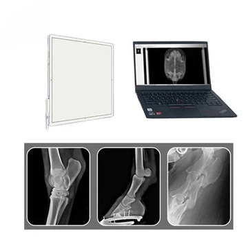 Máy dò bảng điều khiển 4343Z